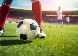 电子竞技首,度登台亚运,盛况双语报,金年会6676官方网站,金年会体育6676网页版,金年会官网6676入口,金年会官网6676首页