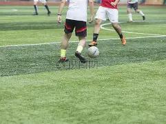 荣耀沉浮史,探寻困境真,金年会6676官方网站,金年会6676官方网站,金年会体育6676网页版,金年会官网6676入口,金年会官网6676首页