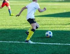 那不勒斯新,赛季专注意,力争卫冕成,金年会6676官方网站,金年会体育6676网页版,金年会官网6676入口,金年会官网6676首页