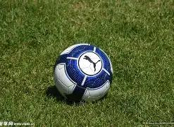 那不勒斯新,赛季专注意,力争卫冕成,金年会6676官方网站,金年会体育6676网页版,金年会官网6676入口,金年会官网6676首页