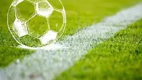 明星同行：最新盗墓章节揭晓