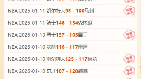 莱斯特城乘雾势连入两球，3-1领先女王公园巡游者